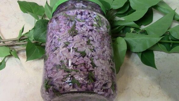 Alcoholic lilac tincture for massaging the lower back affected by osteochondrosis